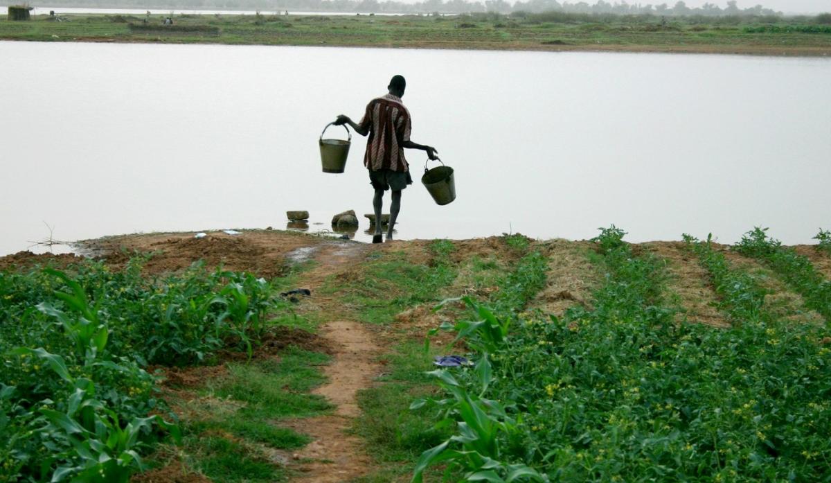 Irrigation manuelle de parcelles maraichères périurbaines, Burkina Faso © Cirad, A.Rival